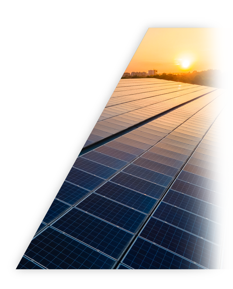 利来w66官网(中国区)_利来集团